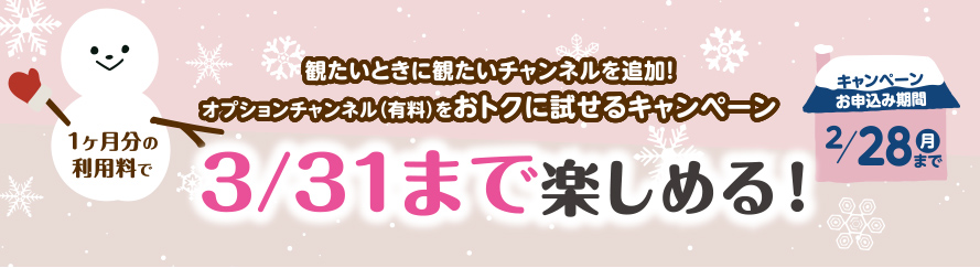 オプションチャンネル月額利用料が実質 半額!!