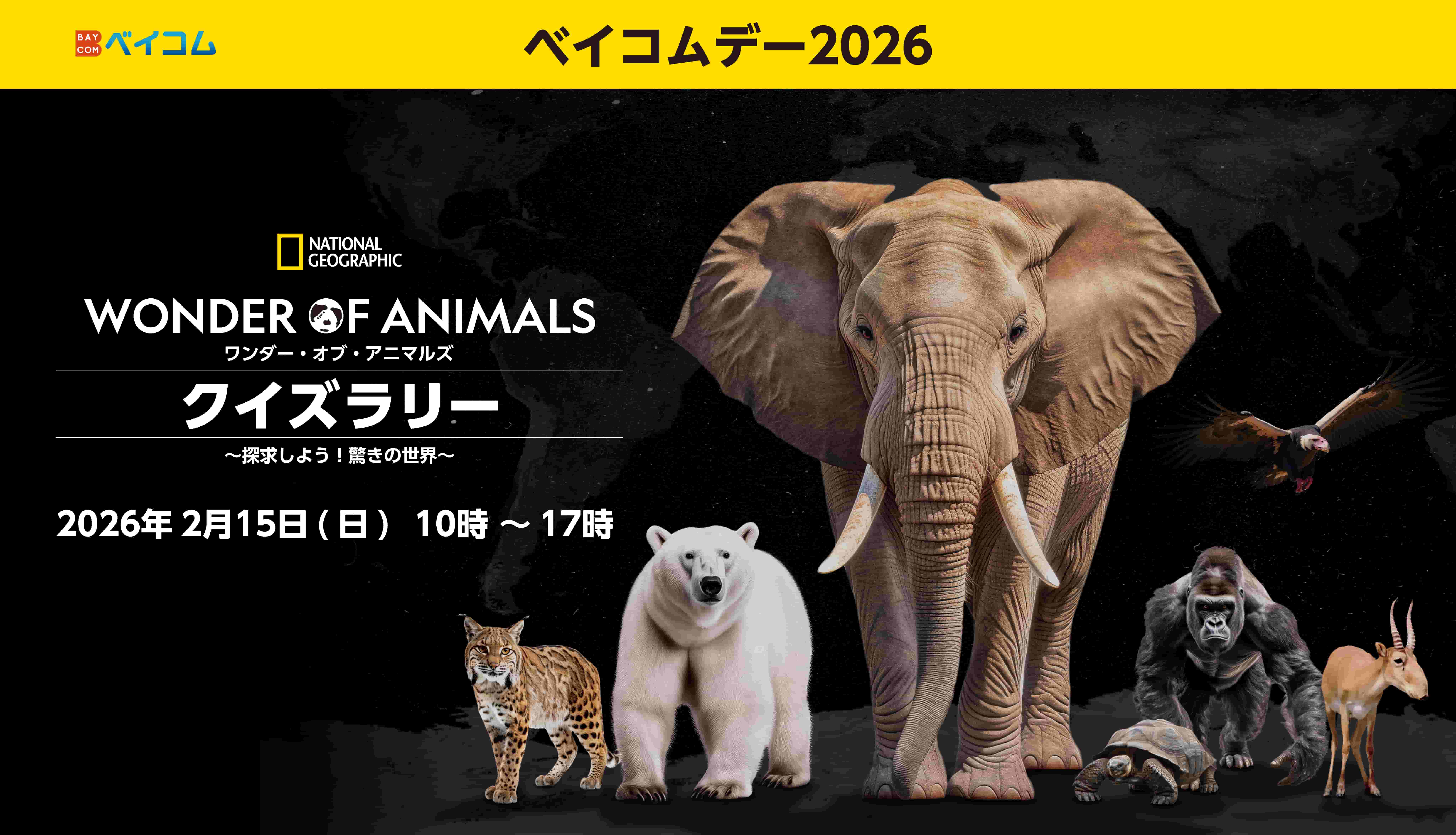 ベイコムデー2026 WONDER OF ANIMALS