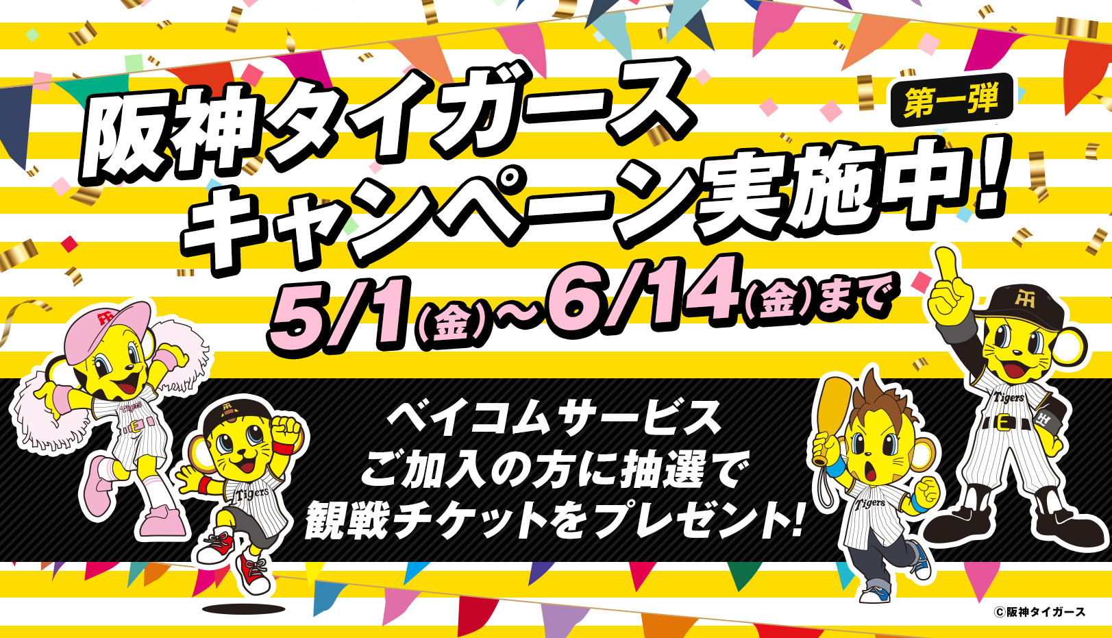 2026年タイガースCP第1弾
