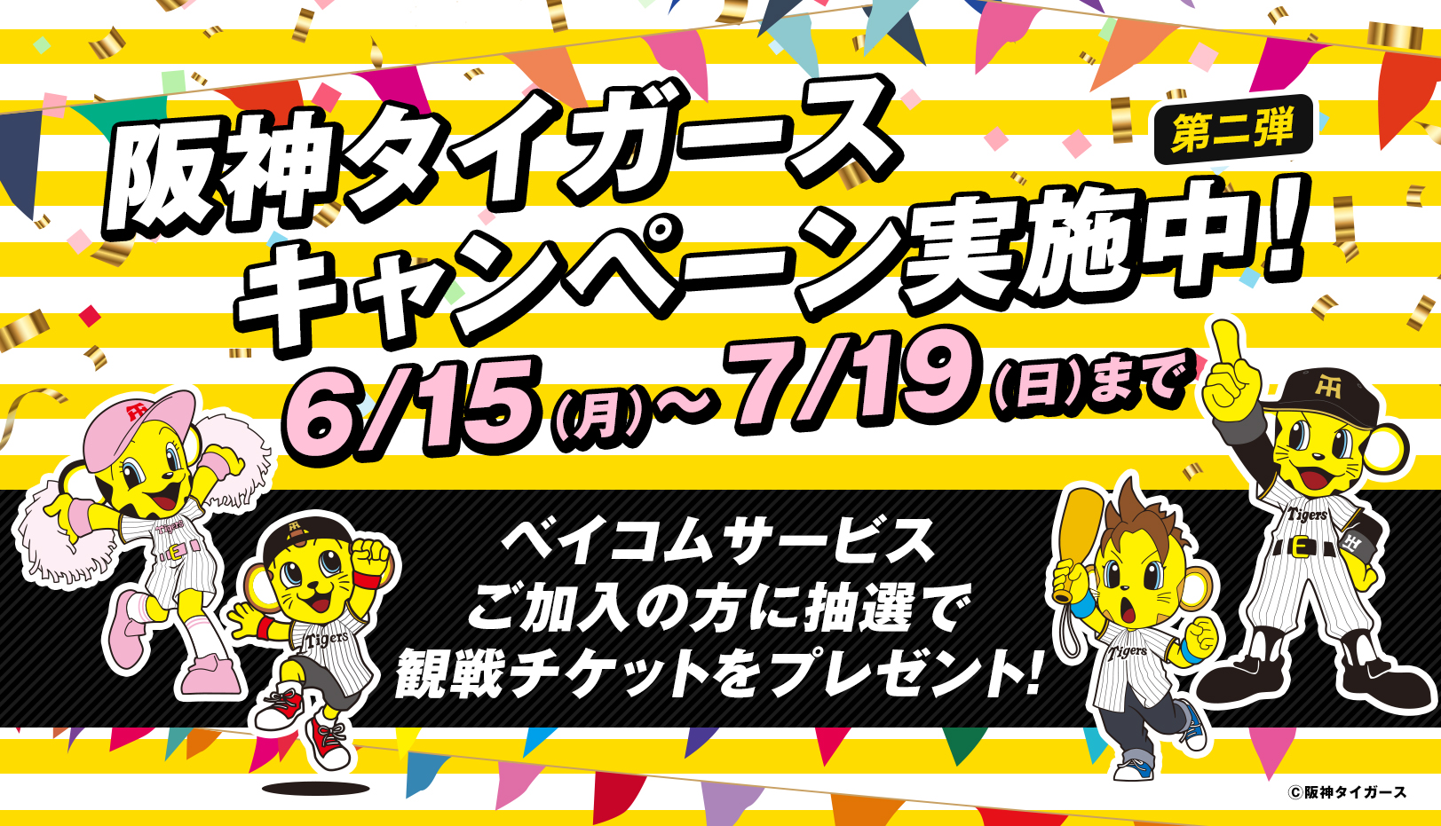 2026年タイガースCP第二弾